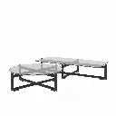 Transparent Face Coffee Table 