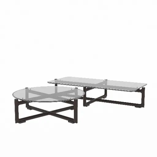 Transparent Face Coffee Table 